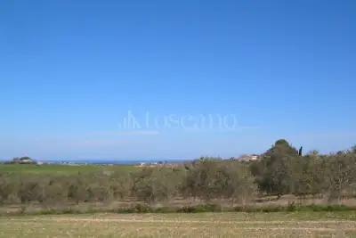 Casale in vendita, Contrada Triona, Noto