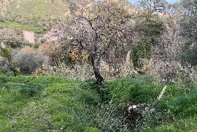 Casale in vendita, Contrada Mastrissa, Taormina