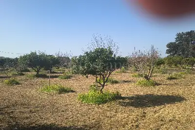 Agricolo in vendita, Via Emanuela, Erice