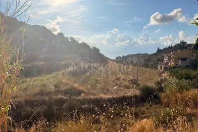 Agricolo in vendita, Via Provinciale per Armo-Gallina, Reggio di Calabria