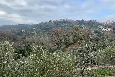 Rustico in vendita, Via Ferdinando Galiani, Catanzaro