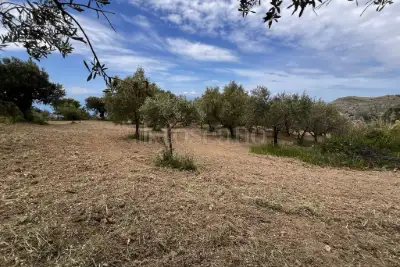 Agricolo in vendita, Motta San Giovanni, Motta San Giovanni