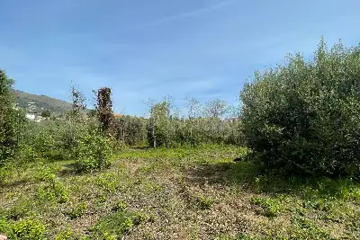 Edificabile Residenziali in vendita, Via Adragna, Palermo