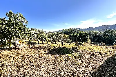 Edificabile Residenziali in vendita, Trudda via Angona, Loiri Porto San Paolo