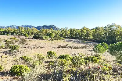 Albergo in vendita, Viale Cala Ginepro, Orosei