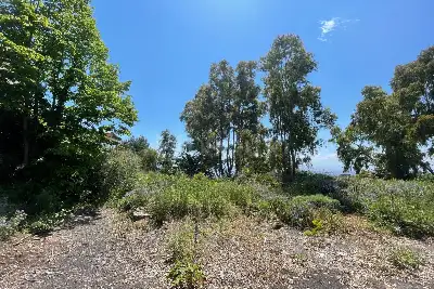 Albergo in vendita, SAN GREGORIO - BELLINI, San Gregorio di Catania