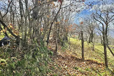 Agricolo in vendita, Contrada Tufarole, Contrada