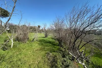 Agricolo in vendita, Via Groenlandia, Pomezia