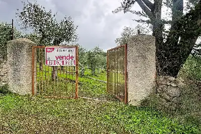 Agricolo in vendita, Strada Vicinale Taniga Baldella, Sennori