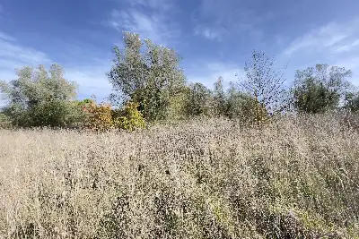 Agricolo in vendita, Frazione Grotte Santo Stefano - Viterbo, Viterbo