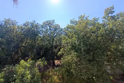 Villa in vendita, Via Andrea Doria, Trecastagni