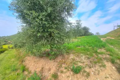 Agricolo in vendita, Via Fontanino, Concesio