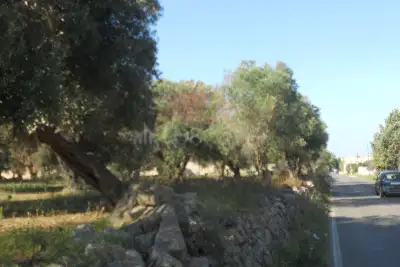 Edificabile Residenziali in vendita, Via Scalelle, Gallipoli