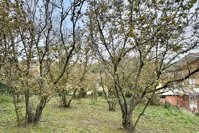 Edificabile Residenziali in vendita, Strada Provinciale 185 , Montefredane, Montefredane