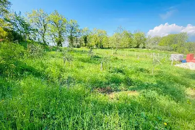 Agricolo in vendita, Via delle foreste, Manocalzati, Manocalzati