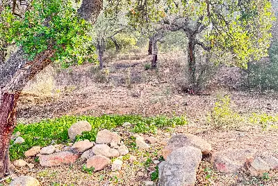 Agricolo in vendita, Trudda , Loiri Porto San Paolo