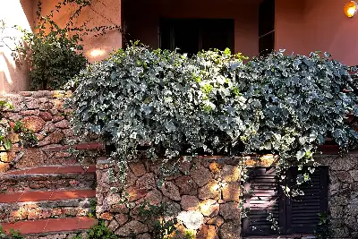 Casa in vendita, Via Orsa Maggiore, Olbia