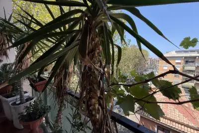 Casa in vendita, Corso Duca di Genova, Roma