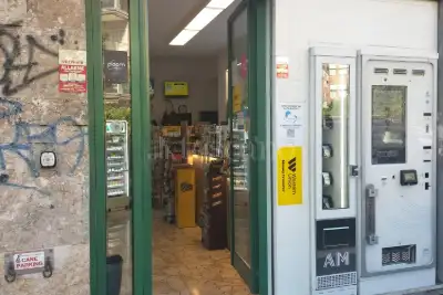 Attività Commerciale in vendita, Via Vincenzo Statella, Roma