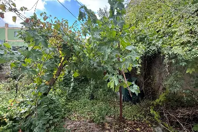 Casa Indipendente in vendita, Strada Vicinale Funtana di Coibu, Sassari