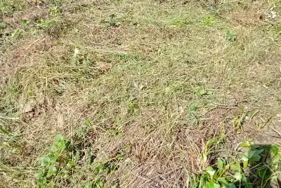 Agricolo in vendita, varazze via Quinno, Varazze