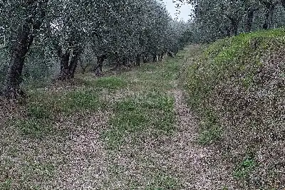 Agricolo in vendita, Strada Di Pescaia, Siena