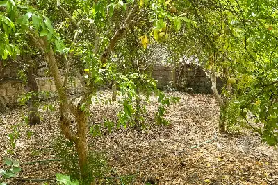 Casa Indipendente in vendita, Via Roma 83, Sennori