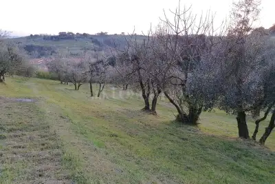 Agricolo in vendita, Strada Di Pescaia, Siena