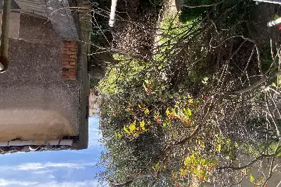 Casa Indipendente in vendita, Via Comunale Santo, Messina