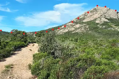 Agricolo in vendita, Berchidda, SP 138, Berchidda
