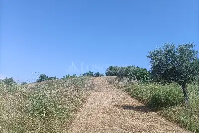Agricolo in vendita, Via Ripoli, Spoltore