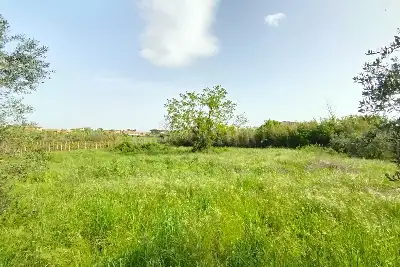 Agricolo in vendita, Terreno Zona Finocchio, Roma