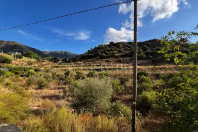 Agricolo in vendita, Via Provinciale per Armo-Gallina, Reggio di Calabria
