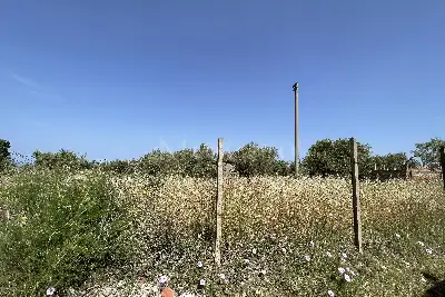 Agricolo in vendita, Piano Torre Spartà, Messina