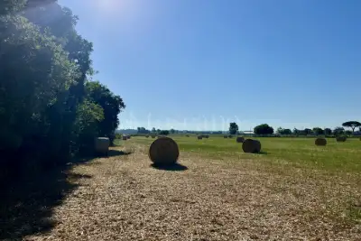 Agricolo in vendita, Viale delle Pagliete, Fiumicino