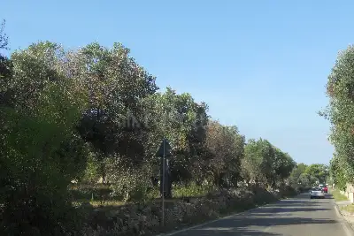 Edificabile Residenziali in vendita, Via Scalelle, Gallipoli