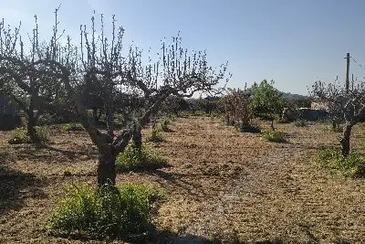 Agricolo in vendita, Via Emanuela, Erice