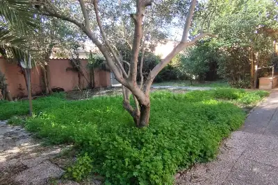 Villa Bifamiliare in vendita, Via Giuseppe Zais, Roma