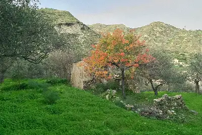 Casale in vendita, Contrada Mastrissa, Taormina