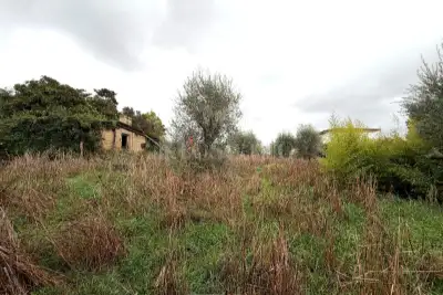 Casa Indipendente in vendita, Via Casorzo, Roma