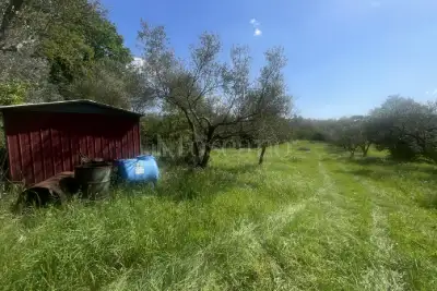 Agricolo in vendita, Strada Cassia Sud, Viterbo