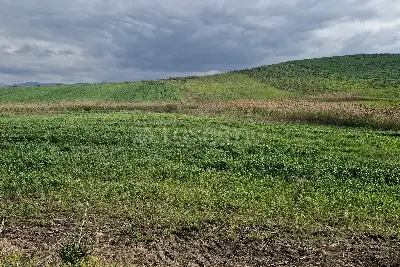 Agricolo in vendita, Trapani C/da Fittasi, Trapani