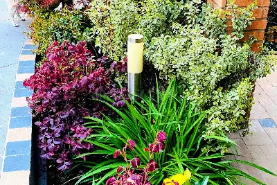 Villa in vendita, Viale di Castel Porziano, Roma