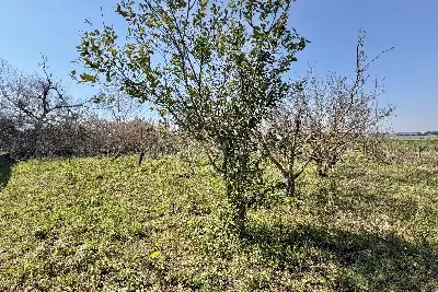 Casa in vendita, Via Fraina, Sarno