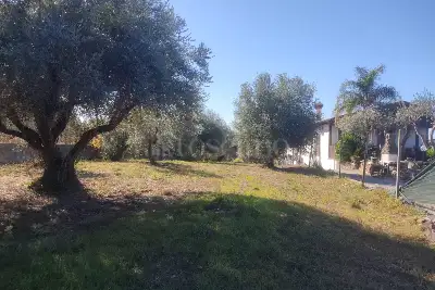 Agricolo in vendita, Vicolo della Patatona , Ciampino