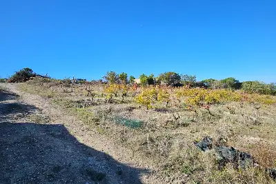 Agricolo in vendita, Località Li Paddimi, Castelsardo