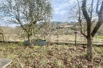 Agricolo in vendita, Strada Valle Cerasola, Viterbo