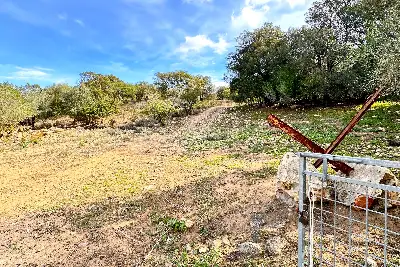 Agricolo in vendita, Trudda , Loiri Porto San Paolo