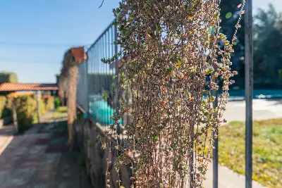 Villa in vendita, Via Lucio Piccolo, Zafferana Etnea