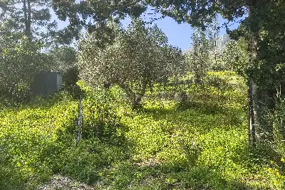 Agricolo in vendita, Via Martognella, Valderice